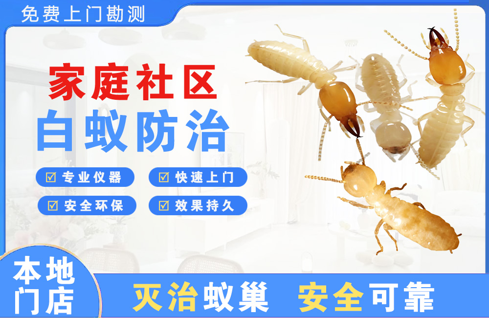 宿州家庭社区白蚁防治