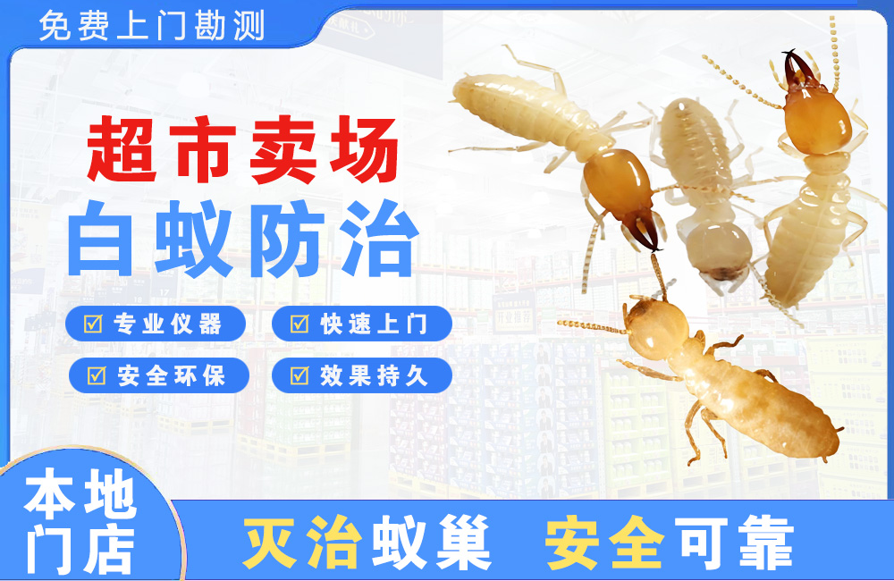 宿州超市卖场白蚁防治