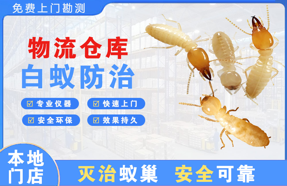 宿州物流仓库白蚁防治