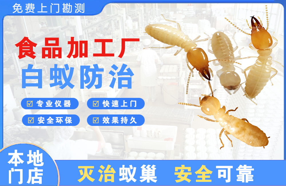 宿州食品加工厂白蚁防治