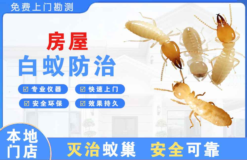 宿州房屋白蚁防治